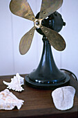 Antique fan and sea shells