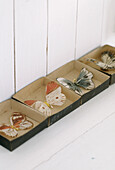 Close up of several ornamental butterflies within small boxes on a shelf
