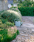 A detail of a garden paving flower border watering can shrubs and hedging 