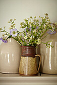 Cut flowers in ceramic jug in Port Issac beach house Cornwall