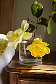 Yellow flowers on wooden bedside table in Port Issac beach house Cornwall