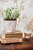 Vintage books and Indienne wallpaper with houseplant in Kent farmhouse, UK