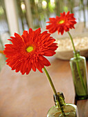 Bright red Gerbera flowers on a table top in green bottles