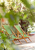 Two green deck chairs view through garden foliage