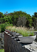 Plant pot containers with grasses on stone wall