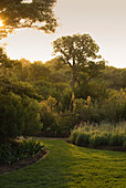 Landscaped garden at twilight