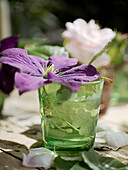 Violette Blume in grünem Glas