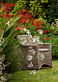 Cane furniture in garden in bloom