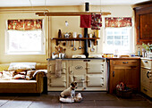 Small dog on tiled floor with Aga in country kitchen