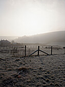 View over Dorset fields in morning mist