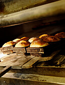 Loaves of bread in tins fresh from the oven