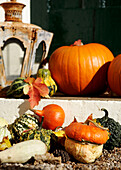 Front step with pumpkins and lantern