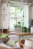 Sink unit with herbs at window of country house