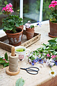 Schnur und Schere mit Schnittblumen und Topfpflanzen auf einer Gartenbaukiste
