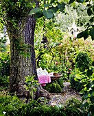 Tree swing in back garden of Yorkshire home