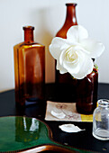 Single stem rose in apothecary bottle with green hand mirror