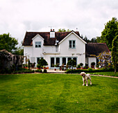 Hund steht im Garten eines Hauses in Surrey