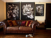 Vintage leather sofa with botanical drawings on wall behind