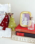 Christmas decorations and family photograph with hard backed books