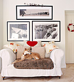 Dog sitting on two seater sofa below black and white photographic artwork
