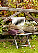 Dried flowers on wooden chair at gate in Essex garden England UK