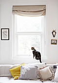 Cat sits on windowsill of living room above sofa with yellow cushion in Hastings home, East Sussex, UK