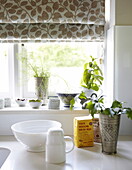 Houseplants and bread mix at kitchen window with leaf motif roman blinds, Oxfordshire, England, UK