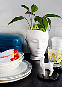 Plant pot and kitchenware in family home Margate Kent England UK