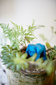 Blue gorilla figurine in houseplant Auckland North Island New Zealand