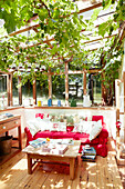Vines grow above red sofa in conservatory extension of Devonshire cottage UK