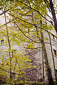 Low angle view of stone exterior viewed through trees of 19th Century Grain Mill in the Scottish Borders
