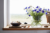 Kornblumen in Vase mit Muscheln auf Fensterbank in einem Cottage in Camber, East Sussex, UK