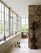 Pet dog in tiled room with uncurtained windows in Northumberland farmhouse, UK