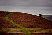 Woman on hillside at Offa's Dyke Path in Gladestry on the South Wales borders