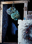 Getrocknete blaue Hortensien hängen an einer Schnur in einer Hütte an der Grenze zwischen Radnorshire und Herfordshire