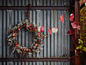 Christmas wreath on corrugated metal cabin in Radnorshire-Herefordshire borders, UK
