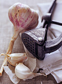 Bulb and cloves of garlic with garlic press