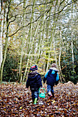 Two young boys walking through autumnal leaves in the woods