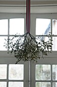 Mistletoe hanging in entrance hall, close-up