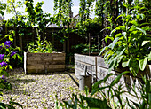 vegetable garden with raised beds made of salvaged apple crates in Colchester Essex UK