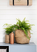 Summerhouse detail Ferns in a basket with a stone bottle and blue sideboard