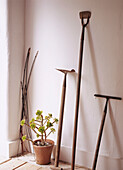 Old garden tools against a white wall with potted plant