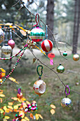 Christmas decorations on a tree in a forest