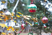 Christmas decorations on a tree in a forest