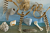 Display of found nautical objects