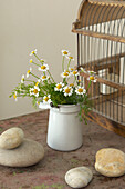 Wildflowers and pebbles woth birdcage in Canterbury home England UK