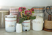 Stotage jars and houseplant in kitchen of Canterbury home England UK