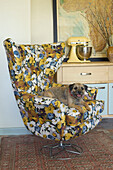 Pet dog sits on chair upholstered with vintage fabric in Suffolk home, England, UK