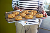 Man holding baking tray with cookies in the Berkshires, Massachusetts, Connecticut, USA