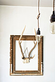 Antlers hang in picture frame with lightbulbs, Hastings home, East Sussex, England, UK